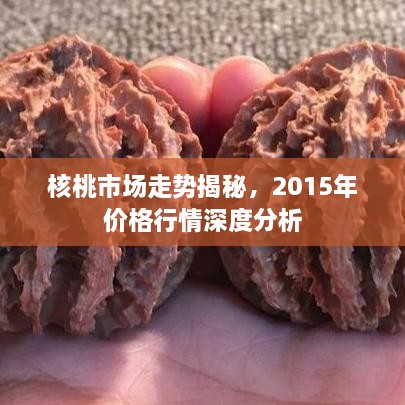 核桃市場(chǎng)走勢(shì)揭秘，2015年價(jià)格行情深度分析