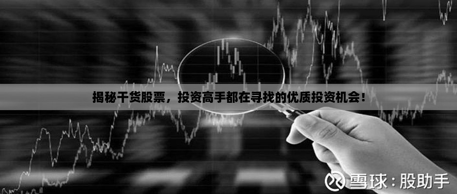 揭秘干貨股票，投資高手都在尋找的優(yōu)質(zhì)投資機(jī)會！