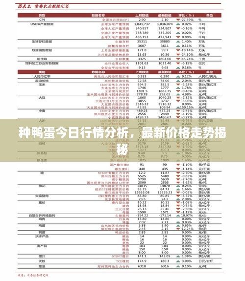 種鴨蛋今日行情分析，最新價(jià)格走勢(shì)揭秘