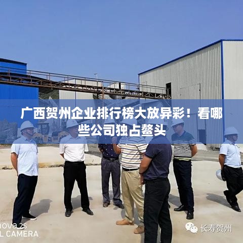 廣西賀州企業(yè)排行榜大放異彩！看哪些公司獨占鰲頭