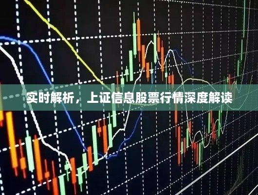 實(shí)時(shí)解析，上證信息股票行情深度解讀