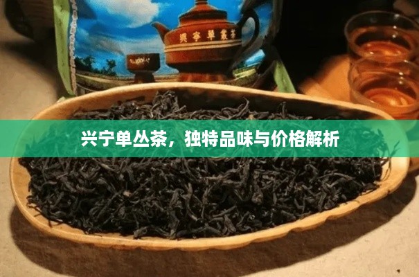 興寧單叢茶，獨(dú)特品味與價(jià)格解析
