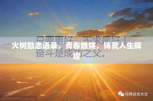 火樹勵志語錄，青春燃燒，鑄就人生輝煌