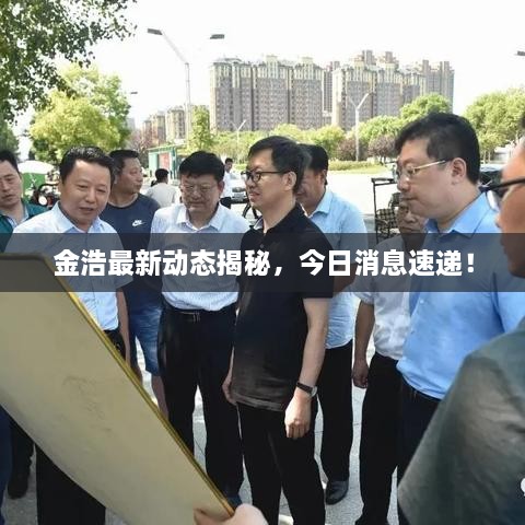 金浩最新動(dòng)態(tài)揭秘，今日消息速遞！