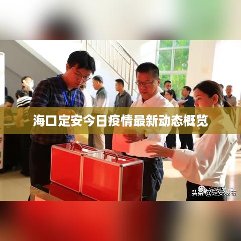 ?？诙ò步袢找咔樽钚聞討B(tài)概覽