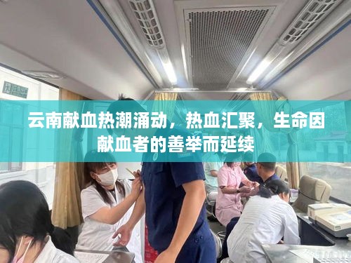 云南獻血熱潮涌動，熱血匯聚，生命因獻血者的善舉而延續(xù)