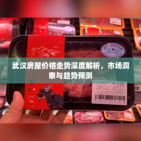 武漢房屋價格走勢深度解析，市場洞察與趨勢預(yù)測