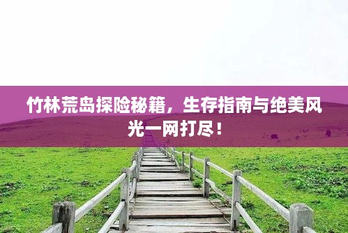 竹林荒島探險(xiǎn)秘籍，生存指南與絕美風(fēng)光一網(wǎng)打盡！