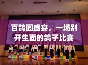百鴿園盛宴，一場別開生面的鴿子比賽盛宴！
