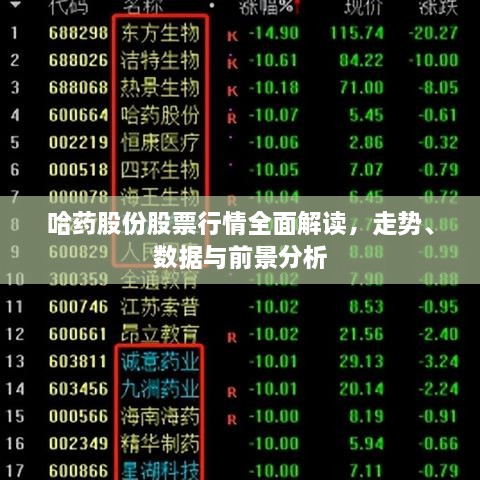 哈藥股份股票行情全面解讀，走勢(shì)、數(shù)據(jù)與前景分析