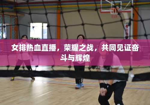 女排熱血直播，榮耀之戰(zhàn)，共同見證奮斗與輝煌