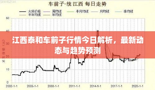 江西泰和車前子行情今日解析，最新動(dòng)態(tài)與趨勢(shì)預(yù)測(cè)