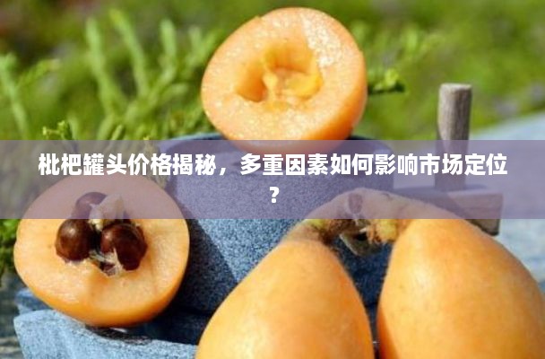 枇杷罐頭價(jià)格揭秘，多重因素如何影響市場(chǎng)定位？