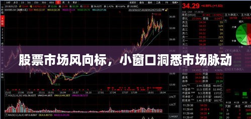股票市場風(fēng)向標(biāo)，小窗口洞悉市場脈動
