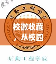 ?；帐詹?，從校園象征到收藏?zé)狳c，行情大熱！