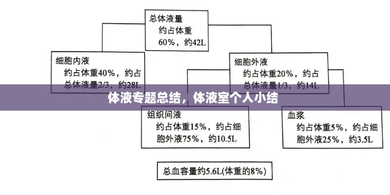 體液專題總結(jié)，體液室個人小結(jié) 