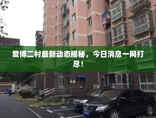 愛博二村最新動態(tài)揭秘，今日消息一網(wǎng)打盡！