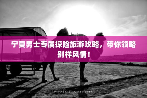 寧夏男士專屬探險旅游攻略，帶你領(lǐng)略別樣風(fēng)情！