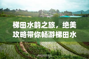 梯田水韻之旅，絕美攻略帶你暢游梯田水鄉(xiāng)