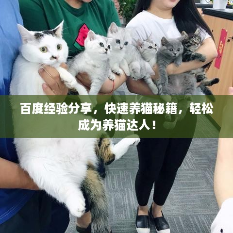 百度經(jīng)驗(yàn)分享，快速養(yǎng)貓秘籍，輕松成為養(yǎng)貓達(dá)人！