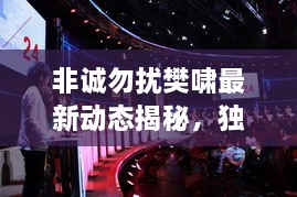 非誠(chéng)勿擾樊嘯最新動(dòng)態(tài)揭秘，獨(dú)家爆料吸引眼球！