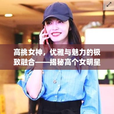 高挑女神，優(yōu)雅與魅力的極致融合——揭秘高個(gè)女明星的魅力風(fēng)采